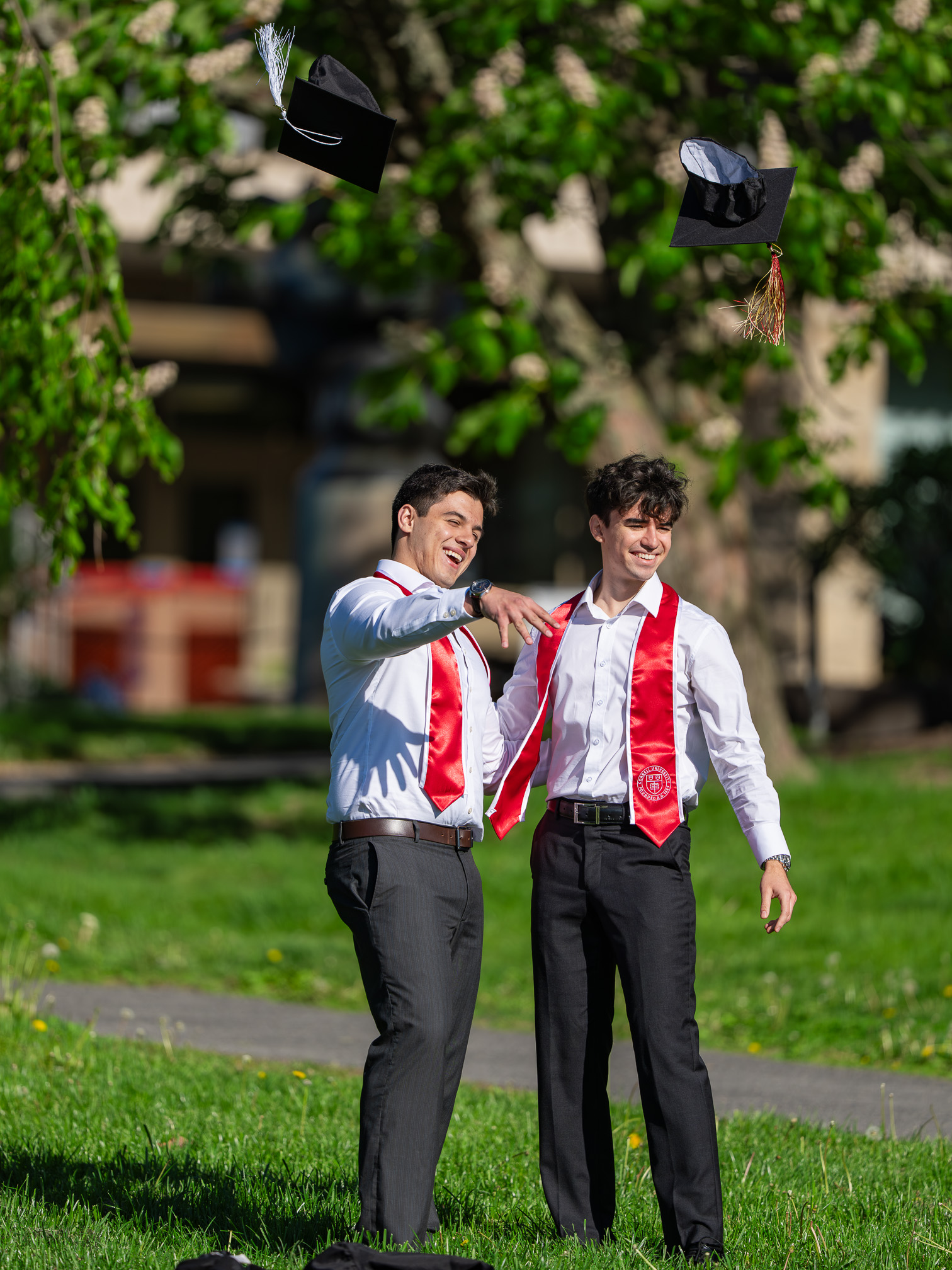 Cornell Graduation 2026